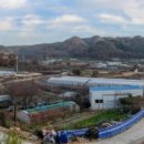 반송2동-33 네이버블로그