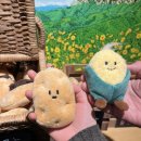 동해쌀국수 | 속초엑스포맛집 동해쌀국수｜동해홍게쌀국수 &amp; 한우쌀국수 솔직후기 (속초쌀국수 추천)