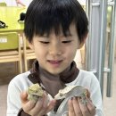 노원구청 | 노원역 미용실 초등 남아 펌 잘하는곳 예움헤어 노원구청점 후기