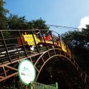 입화산참살이숲야영장 이미지