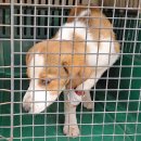 내추마을회관 이미지