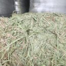 (주)쌍용에프엔씨 이미지