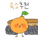 제주또올레 이미지