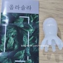 귀엽고 시원한 올라솔라 두피괄사 후기