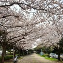 신산환승정류장 이미지