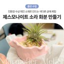 진주초등학교 | 진주 초등학교 출강 제스모나이트 화분 만들기 창의 공예활동 단체수업