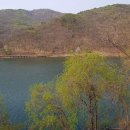 [대기환경보전법위반] 이미지