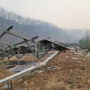 알프스 태양광발전소 이미지