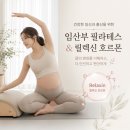 벨르독 | 일산 임산부 필라테스, 과도한 스트레칭의 함정