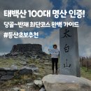천제단 | 태백산 기운 듬뿍! 반재 거쳐 천제단코스까지, 주차부터 소요시간 총정리