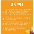 산지직송, 해남 꿀고구마, 5k ,10k (중 )먹기 좋은 크기 입니다. 이미지