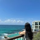 대한씨푸드 이미지