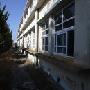 금산중앙초등학교 이미지