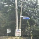 백학민박 이미지