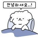 스텔스짐 이미지