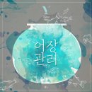 🎶 #어장관리 앨범아트🐠🐟 (어항관리,고려청자관리 주의) 이미지