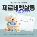 동글동글 애견미용실 | 청주 애견미용실 제로네펫쌀롱｜제로쌤이 알려주는 맞춤형 케어 후기