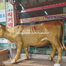 파주축산한우마을 이미지