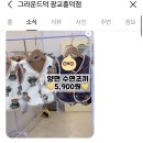 그라운드덕 이미지