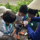 군산서초등학교 이미지