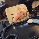 오이시 | 울산 삼산 라멘 맛집 오이시라멘 후기｜혼밥 추천