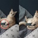 기대농장 이미지