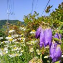 한농한의원 이미지