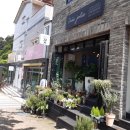 트레졸리 이미지