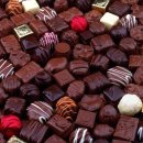 초코 - 안양시 동안구 | 초코