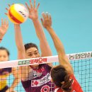 조이스 MK스포츠