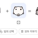 심동 이미지