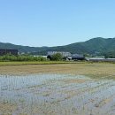 계리경로당 이미지