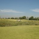 스포츠파크 파크골프장 이미지