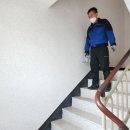 베네스트수 이미지