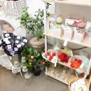 아뜰리에 몽 이미지