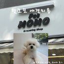 더 펫 애견샾 | 수원애견미용 잘하는 곳 찾았다! 인계동 펫모모 귀툭튀 가위컷 리얼후기