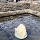 법환 | 서귀포 스노클링 스팟 추천🐠 법환포구 다녀온 후기 (8개월 아기와 함께)