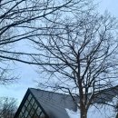 NEXT. SOFT | 홋카이도 후라노 치즈 공방 방문기 | 치즈 소프트 아이스크림 후기 &amp; 예약 방법 🍦