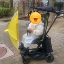 [내돈내산]에이블 유모카 플러스 트라이크(그린색상) 구매후기•장단점•휴대용 유모차•T바 내리는 방법