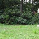 이무선생묘 및 신도비 이미지