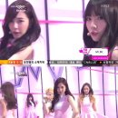 미스터헤어뱅크