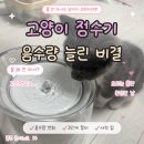 수컷 - 기장군 정관로 578 | 고양이 정수기 바램펫 웰리 물섭취 후기, 수컷 음수량 늘린 비결💧