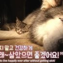 또바기동물병원