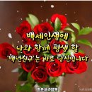 백년친구 Daum카페