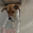 킴스게스트하우스 이미지