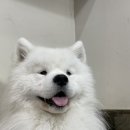 겨울이 머무는 집 이미지