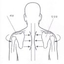 양쪽 어깨를 뒤로 당겨 유지한다 이미지
