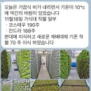 우림 이미지