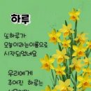 삼성보세