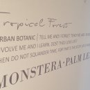 박스모텔 이미지